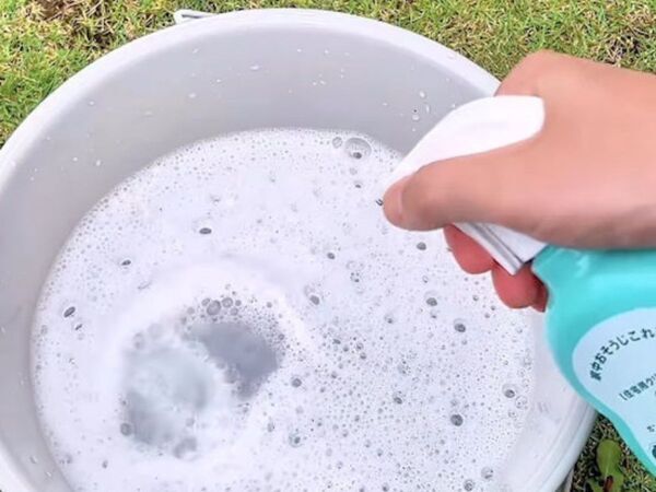 玄関に水をまくとどうなる？　意外な落とし穴に「怖い」「知らなかった」