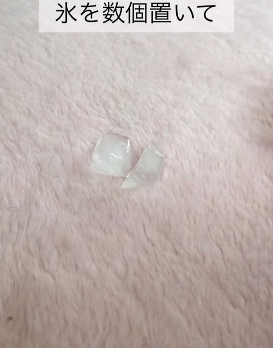 「この発想はなかった」　氷の意外な使い道に「絶対やる」」「簡単すぎ」