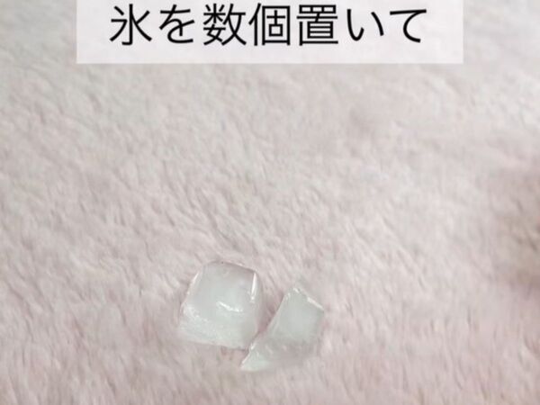 「この発想はなかった」　氷の意外な使い道に「絶対やる」」「簡単すぎ」