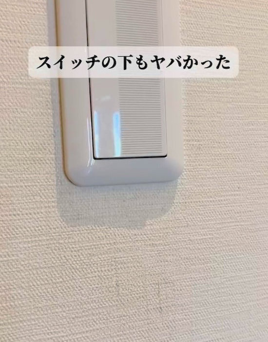 壁の汚れは100円ショップで対策！　まさかの効果に「ここまでとは」「絶対買う」