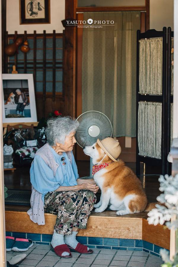 孫が撮った『夏休み』の写真　うつっていたのは…「泣けてきた」「あまりにも尊すぎる」