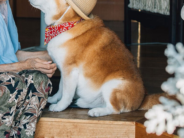 孫が撮った『夏休み』の写真　うつっていたのは…「泣けてきた」「あまりにも尊すぎる」