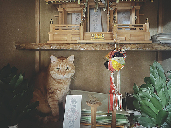 義実家の神棚を見ると…　まさかの光景に「ご利益ありそう！」「間違いない」