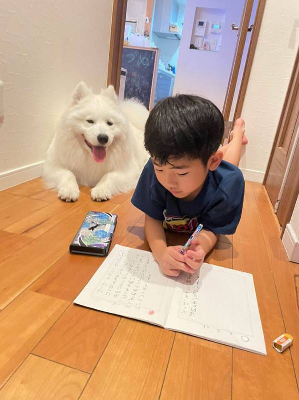 優秀な家庭教師？　宿題をする息子の隣には…「心強い」「これなら頑張れそう」