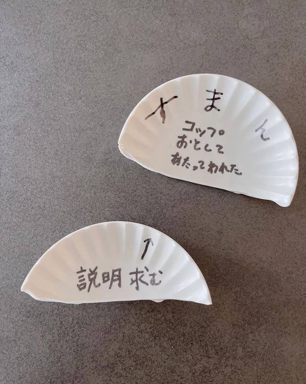 妻「説明求む」　皿を割ってしまった夫の返答が？「これは許す」「その発想はなかった」