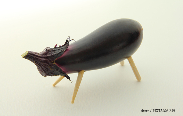 「前世はナスだった猫」　理由が分かる1枚に「お盆シーズンに見るやつ」「笑った」