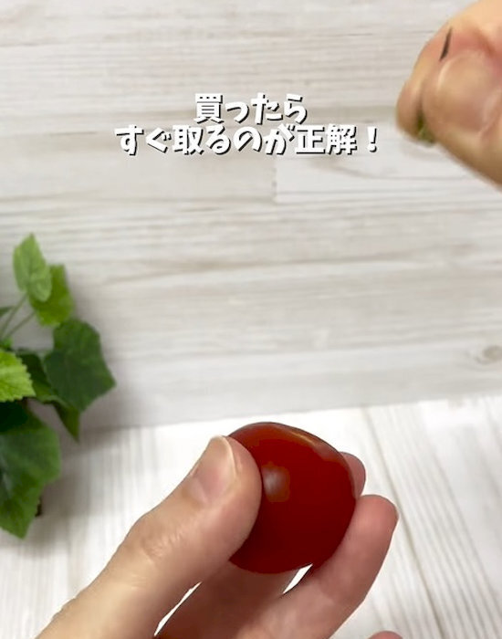 意外と知らない？　ミニトマトの便利技に「知らなかった」「今日からできる」