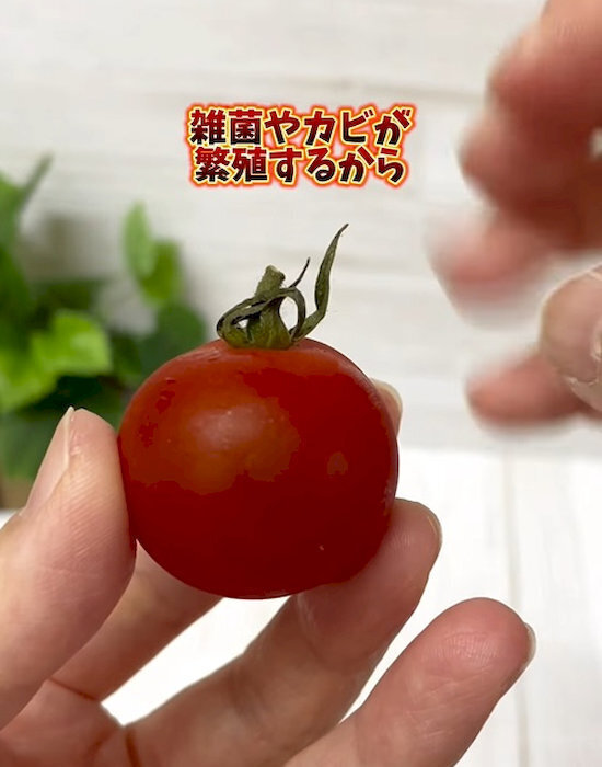意外と知らない？　ミニトマトの便利技に「知らなかった」「今日からできる」