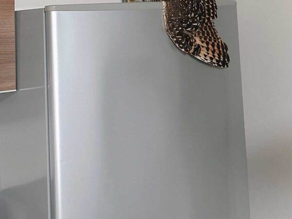 冷蔵庫の上にいたのが？　二度見してしまう1枚に「かわいい」「溶けている」