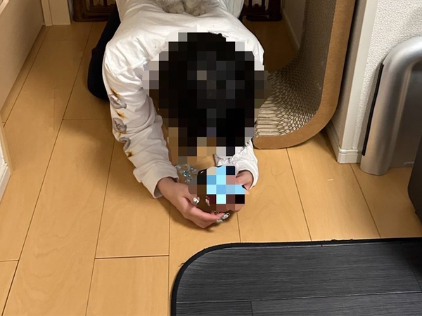 飼い主「甘やかして育てすぎた…」　愛猫の行動に「永遠の２歳児」「幸せの証」