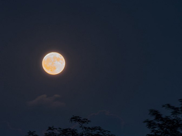埼玉で撮影された、満月の1枚　隣に写っていたのは…「貴重だ」「疲れが吹っ飛ぶ」