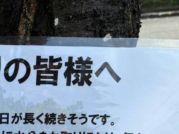 「涙が出るほどありがたい」　真夏の駐車場で見つけた『貼り紙』に書かれていたのは…