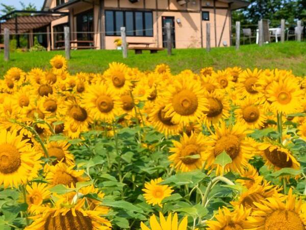 「夏はやっぱりコレよ！」　写真家の1枚に称賛の声