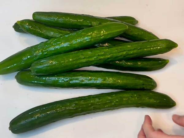 もうキュウリをすぐに傷ませない！　農家のアイディアに「目からウロコ」