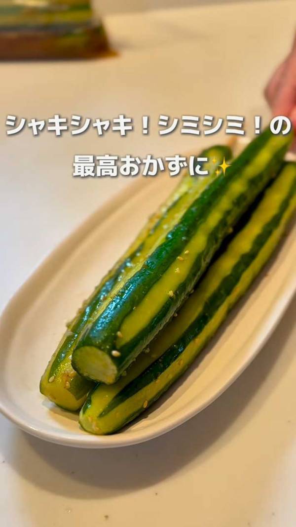 もうキュウリをすぐに傷ませない！　農家のアイディアに「目からウロコ」