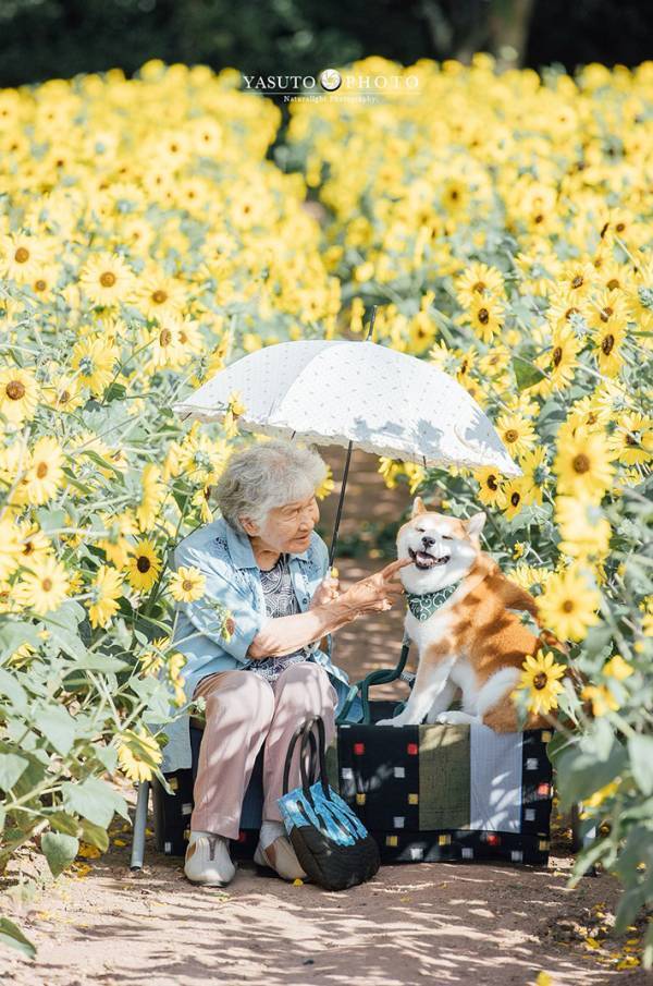ひまわり畑での1枚　その光景に「幸せそうな笑顔が、ずっと続きますように」