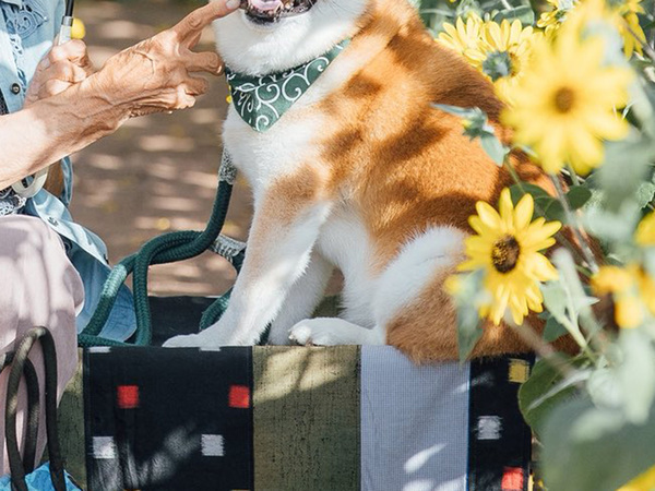 ひまわり畑での1枚　その光景に「幸せそうな笑顔が、ずっと続きますように」