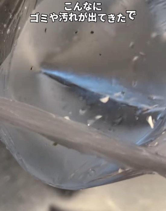 ブロッコリーを洗えていないかも…！？　驚くほど汚れが落ちる方法に「絶対やる」