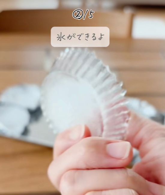 「何時間も経ったのに溶けてない」　水筒に入れる氷は…　「その手があったか」