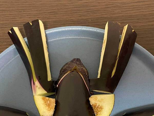 精霊馬を『24万人』が絶賛！　ナスに切り込みを入れてできたのは…