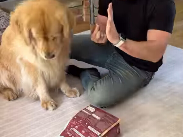 『待て』の最中におやつが散らばり…？　60万『いいね』を集めた愛犬の行動