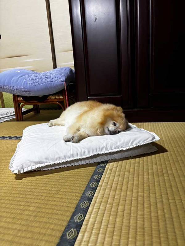 お盆に帰省できない男性　母から送られてきた1枚に「変わらんなあ…」