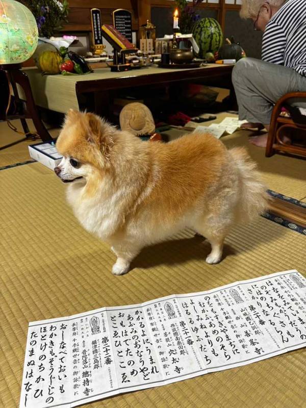 お盆に帰省できない男性　母から送られてきた1枚に「変わらんなあ…」