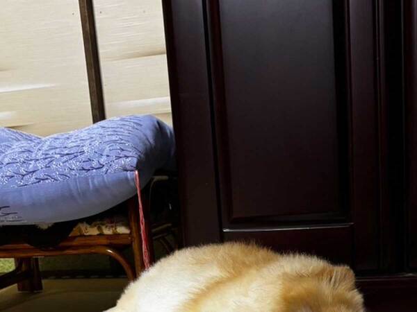 お盆に帰省できない男性　母から送られてきた1枚に「変わらんなあ…」