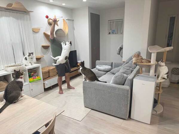 7匹の猫と暮らす飼い主　息子が寝た後の光景が？「これは大変」