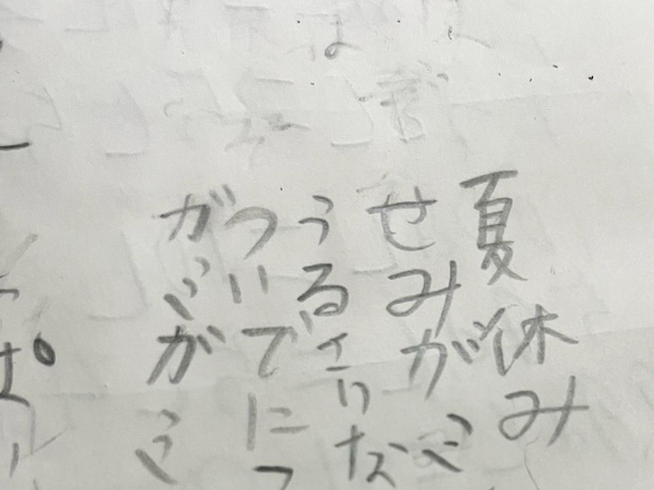 小学生息子による『夏休みの短歌』　秀逸なオチに「将来は大物」「文才が光りすぎ！」