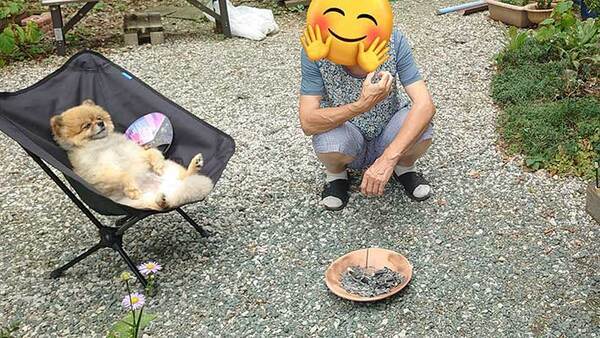 お盆に煙を浴びる犬　そのワケが？「泣けてくる…」