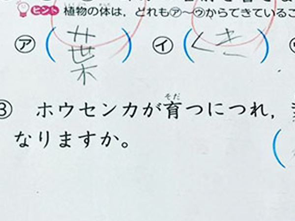 『夏休みの宿題』でパニックになった小3娘　まさかの『珍解答』にツッコミ！