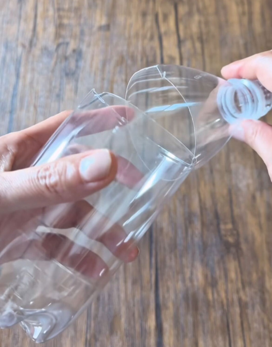 切ったネギの根本を水に浸すだけ！　結果に「また育った」「一石二鳥」