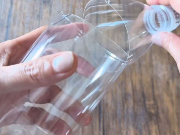 切ったネギの根本を水に浸すだけ！　結果に「また育った」「一石二鳥」