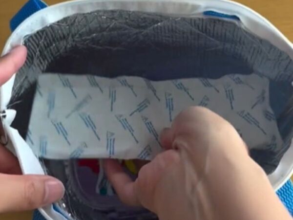 「保冷剤って上に置くの？」　夏レジャーの新常識に「知らなかった」「すぐやる」