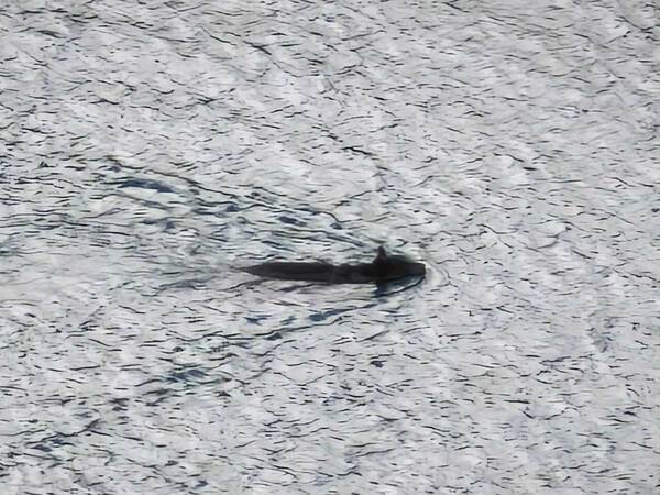 警察「前代未聞の光景」　湖で目にしたのが…「怖すぎる」