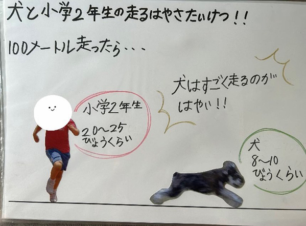 「特別賞をあげたい」「涙が出た」　小2息子の自由研究に絶賛の声