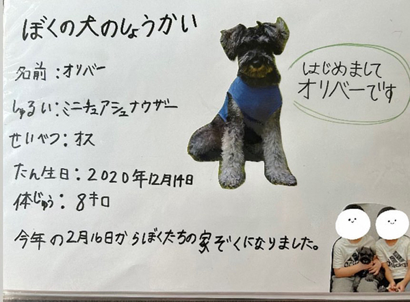 「特別賞をあげたい」「涙が出た」　小2息子の自由研究に絶賛の声