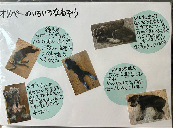 「特別賞をあげたい」「涙が出た」　小2息子の自由研究に絶賛の声