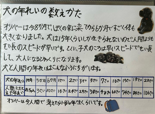 「特別賞をあげたい」「涙が出た」　小2息子の自由研究に絶賛の声