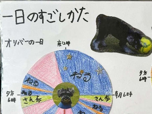 「特別賞をあげたい」「涙が出た」　小2息子の自由研究に絶賛の声