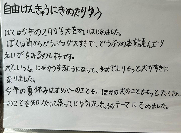 「特別賞をあげたい」「涙が出た」　小2息子の自由研究に絶賛の声