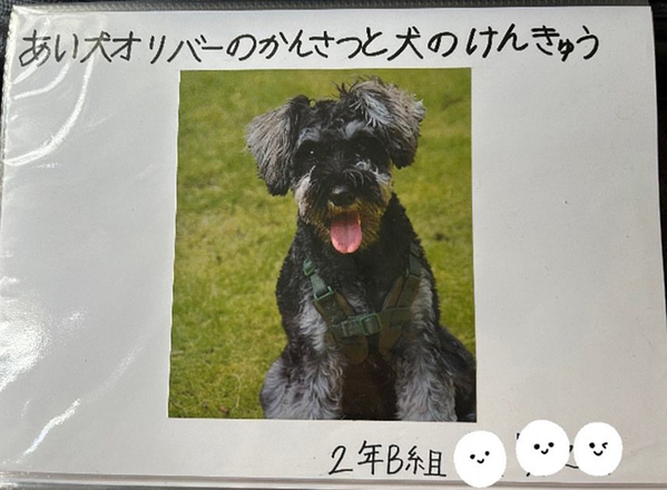 「特別賞をあげたい」「涙が出た」　小2息子の自由研究に絶賛の声