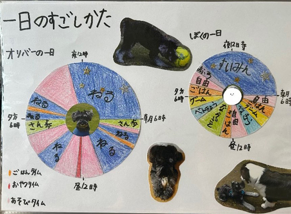 「特別賞をあげたい」「涙が出た」　小2息子の自由研究に絶賛の声