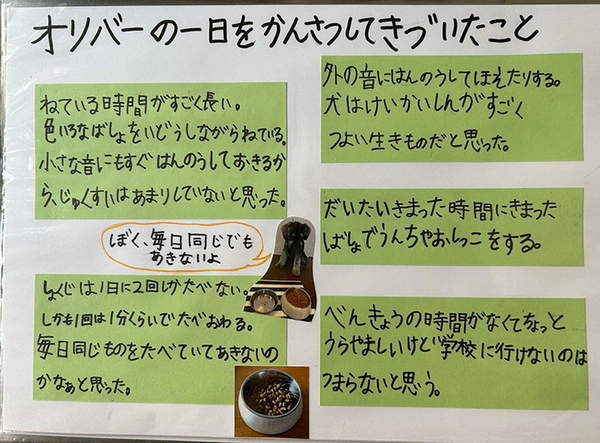 「特別賞をあげたい」「涙が出た」　小2息子の自由研究に絶賛の声