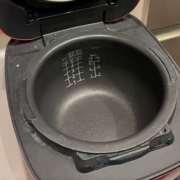 洗面所の髪の毛は放置厳禁　知られざるゴキブリの習性と撃退法