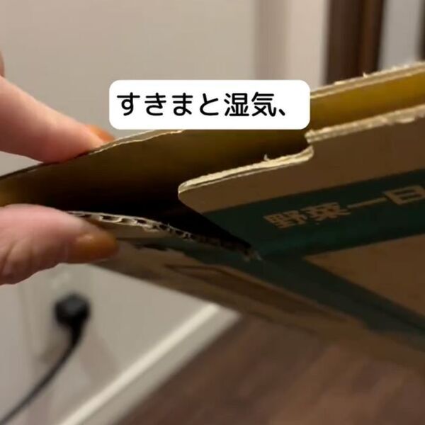 洗面所の髪の毛は放置厳禁　知られざるゴキブリの習性と撃退法