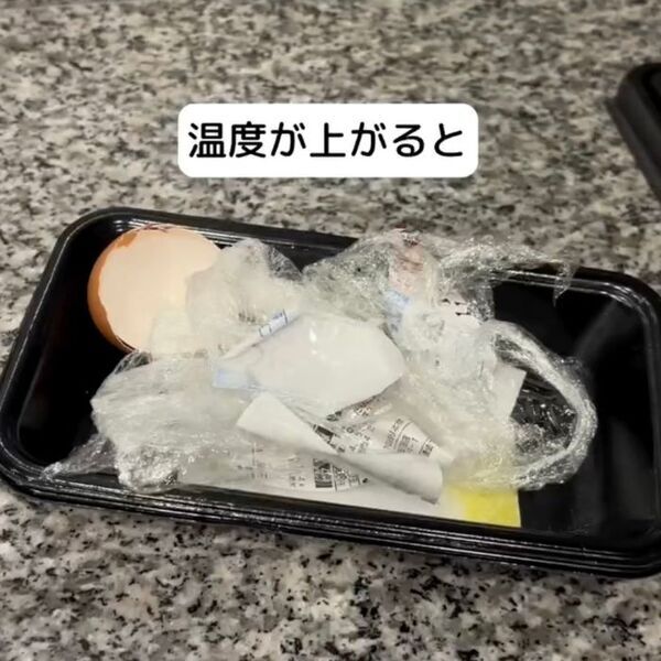 洗面所の髪の毛は放置厳禁　知られざるゴキブリの習性と撃退法