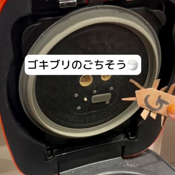 洗面所の髪の毛は放置厳禁　知られざるゴキブリの習性と撃退法