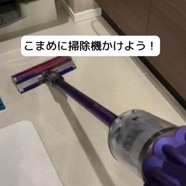 洗面所の髪の毛は放置厳禁　知られざるゴキブリの習性と撃退法